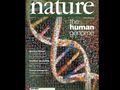 Revista-nature-genoma-humano-2.jpg