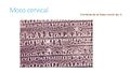 Moco-cervical S.jpg