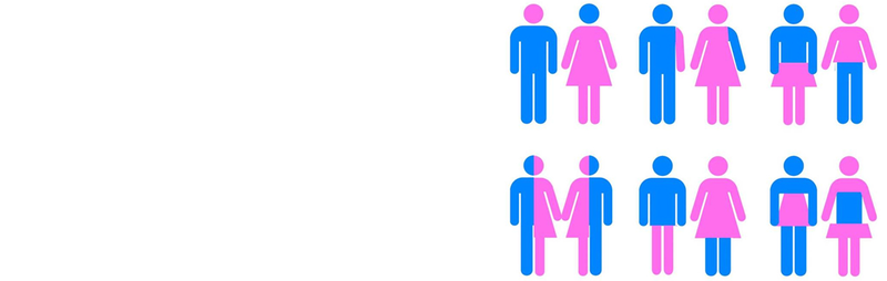 Archivo:Género F o M banner.png