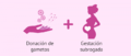 Donacion-de-gametos-en-gestacion-subrogada.png