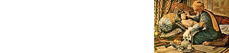 Archivo:Razi banner.jpg