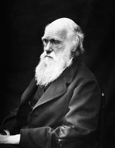 Archivo:Charles-robert-darwin-62911 640.jpg
