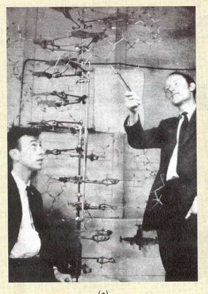 Archivo:Watson y Crick.jpg