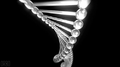 Dna-rna-chromosomes-double-helix-rotating-animated.gif
