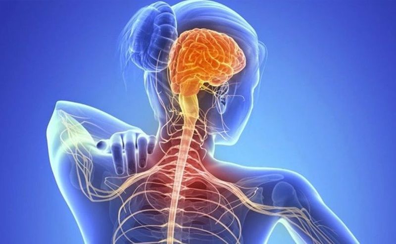 Archivo:Esclerosis lateral .jpg